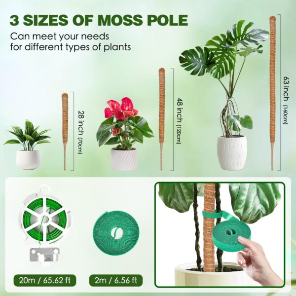 Hetaoe Bendable Moss Pole – Adjustable Climbing Support for Monstera & Philodendron - Image 2