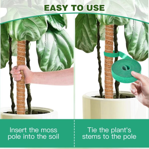 Hetaoe Bendable Moss Pole – Adjustable Climbing Support for Monstera & Philodendron - Image 3