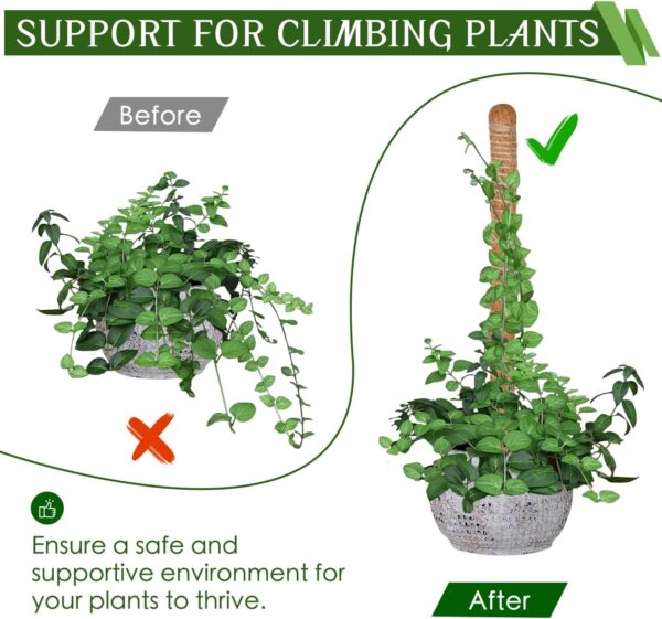 Hetaoe Bendable Moss Pole – Adjustable Climbing Support for Monstera & Philodendron - Image 4