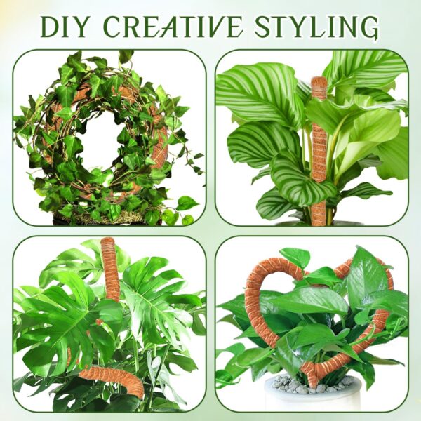 Hetaoe Bendable Moss Pole – Adjustable Climbing Support for Monstera & Philodendron - Image 6