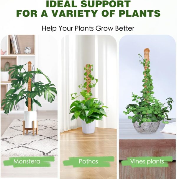 Hetaoe Bendable Moss Pole – Adjustable Climbing Support for Monstera & Philodendron - Image 7